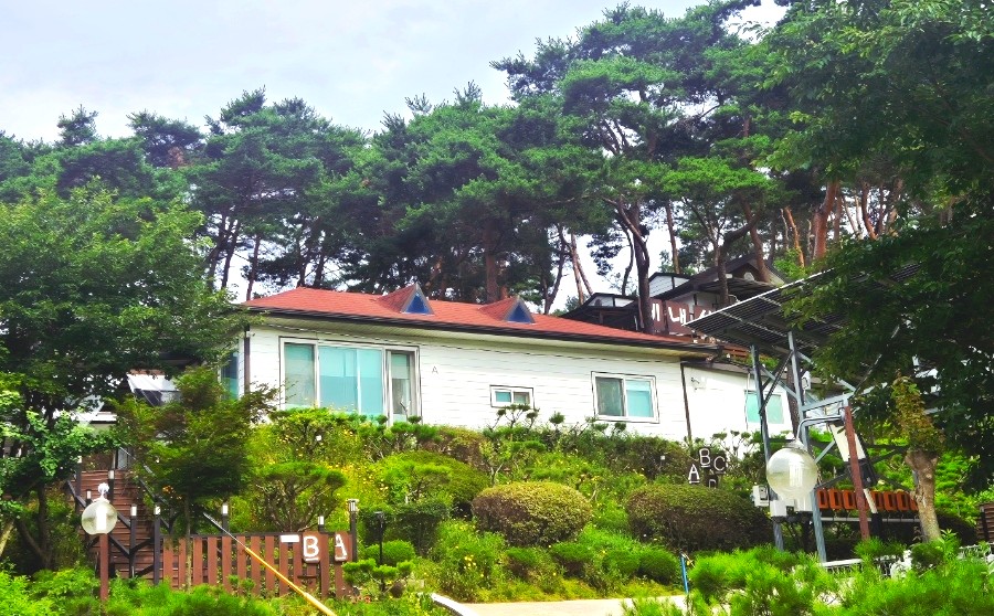 B동 사진 4